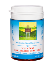 040 VYTA�EN� ZAKLESL�CH STAVIDEL&reg; YU XUE WAN - XLC