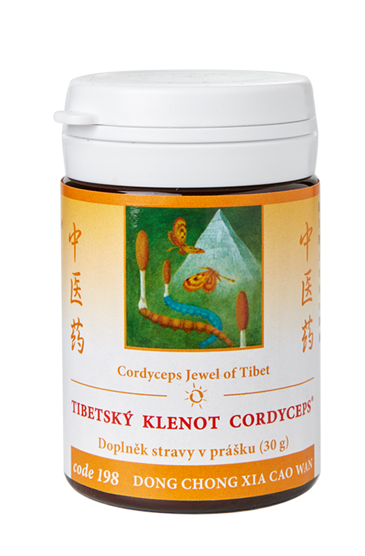 Tibetsk� klenot Cordyceps - Cordyceps sinensis